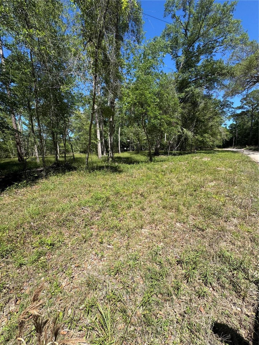 TBD SW 25 PL, BELL, FL, 32619