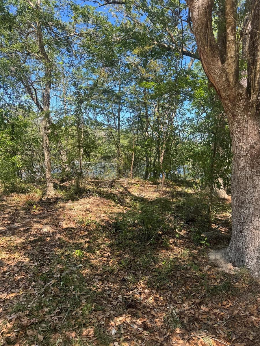 TBD SW 25 PL, BELL, FL, 32619