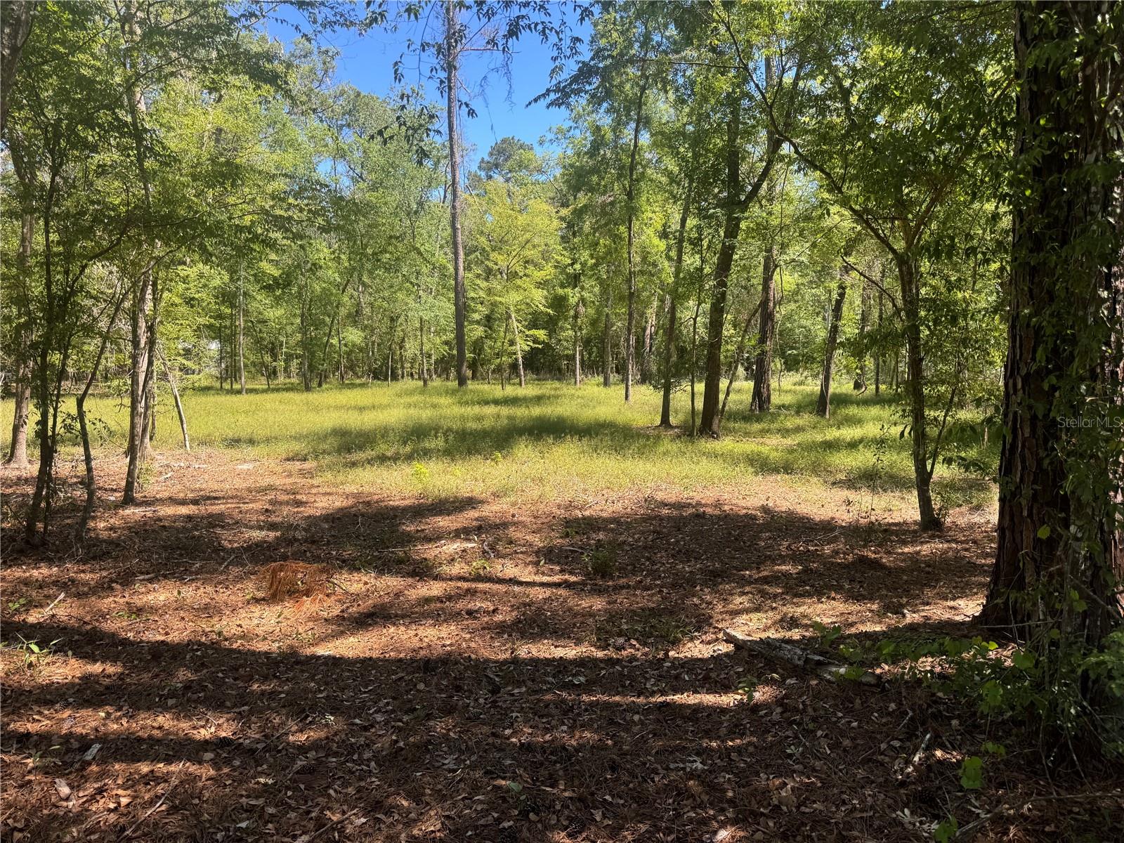 TBD SW 25 PL, BELL, FL, 32619