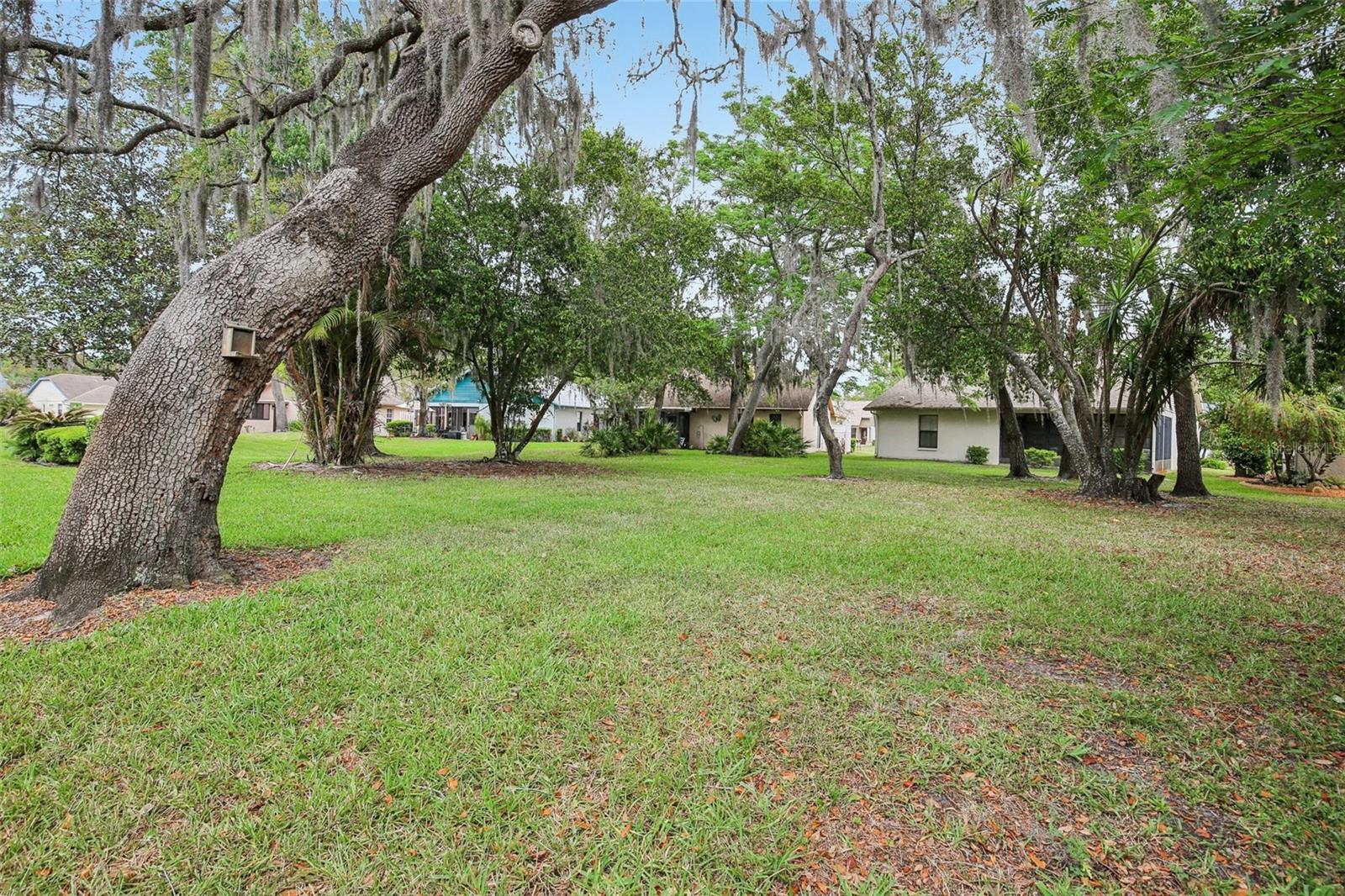 11622 COCOWOOD DR, NEW PORT RICHEY, FL, 34654