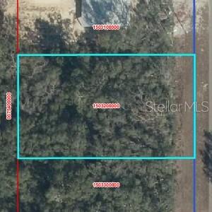 NW 100, CHIEFLAND, FL, 32626