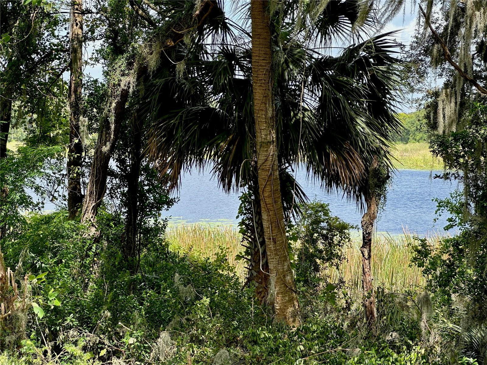 624 ARBOR LAKES CIR #624, SANFORD, FL, 32771