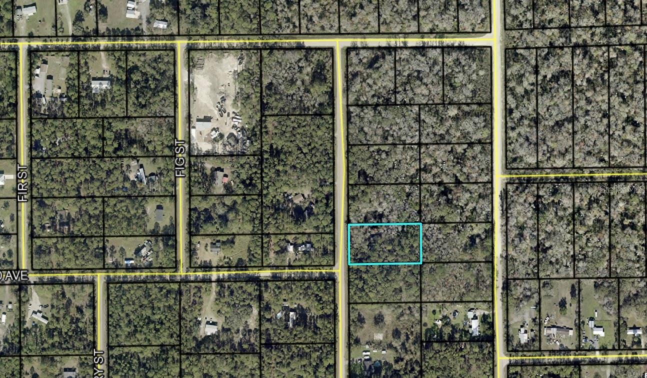 2157 GROVE ST, BUNNELL, FL, 32110