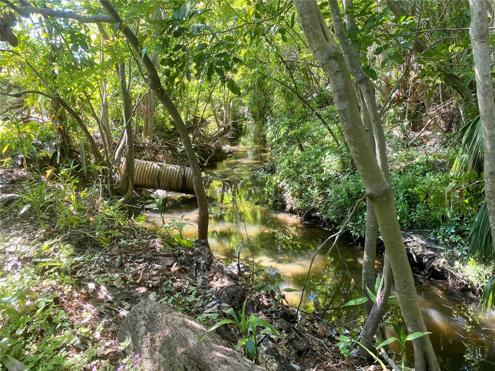 2084 RIDGELANE RD, CLEARWATER, FL, 33755