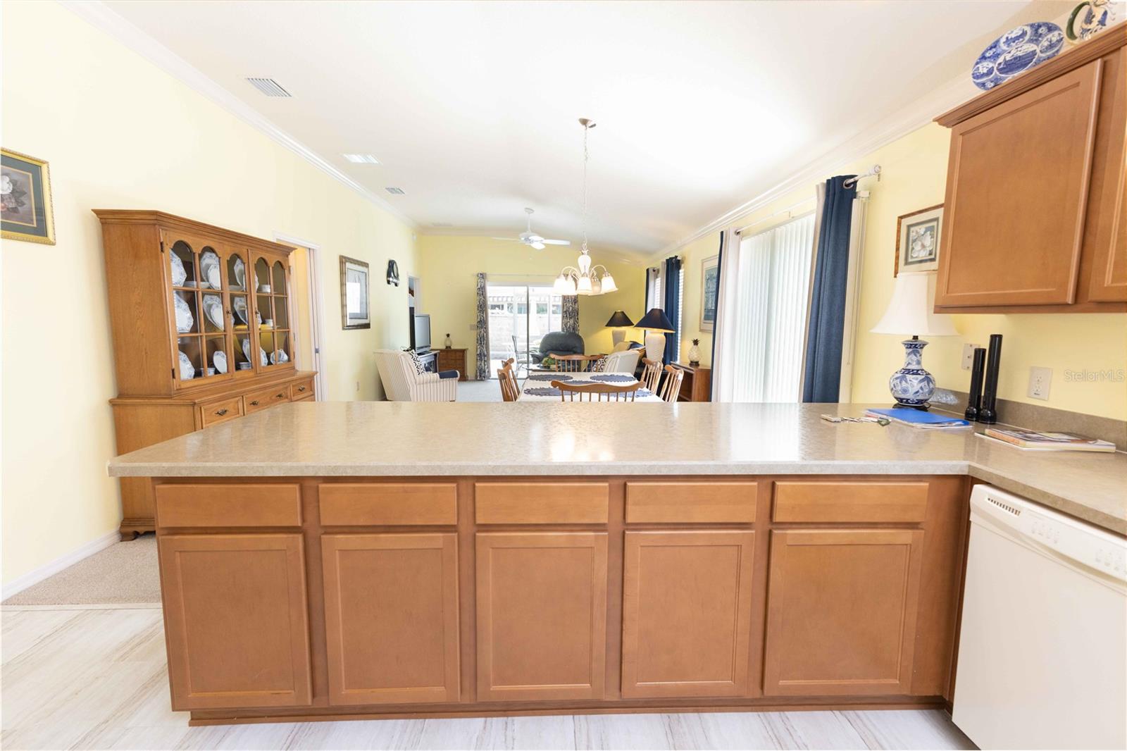 2306 NACKMAN PL, THE VILLAGES, FL, 32162