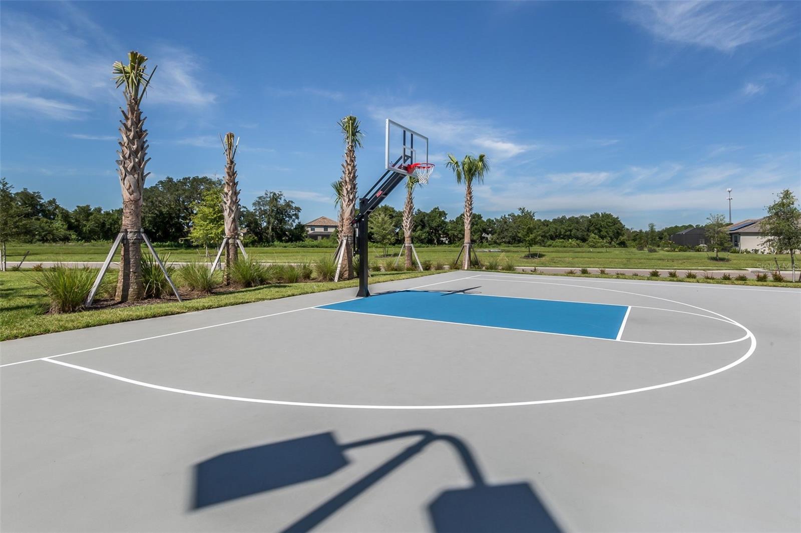 17053 POLO TRL, LAKEWOOD RANCH, FL, 34211