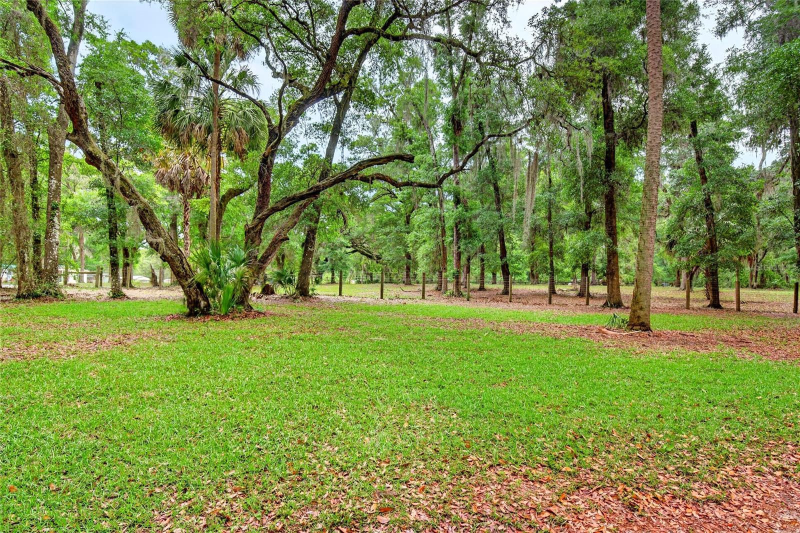 14271 NE 47TH AVE, ANTHONY, FL, 32617