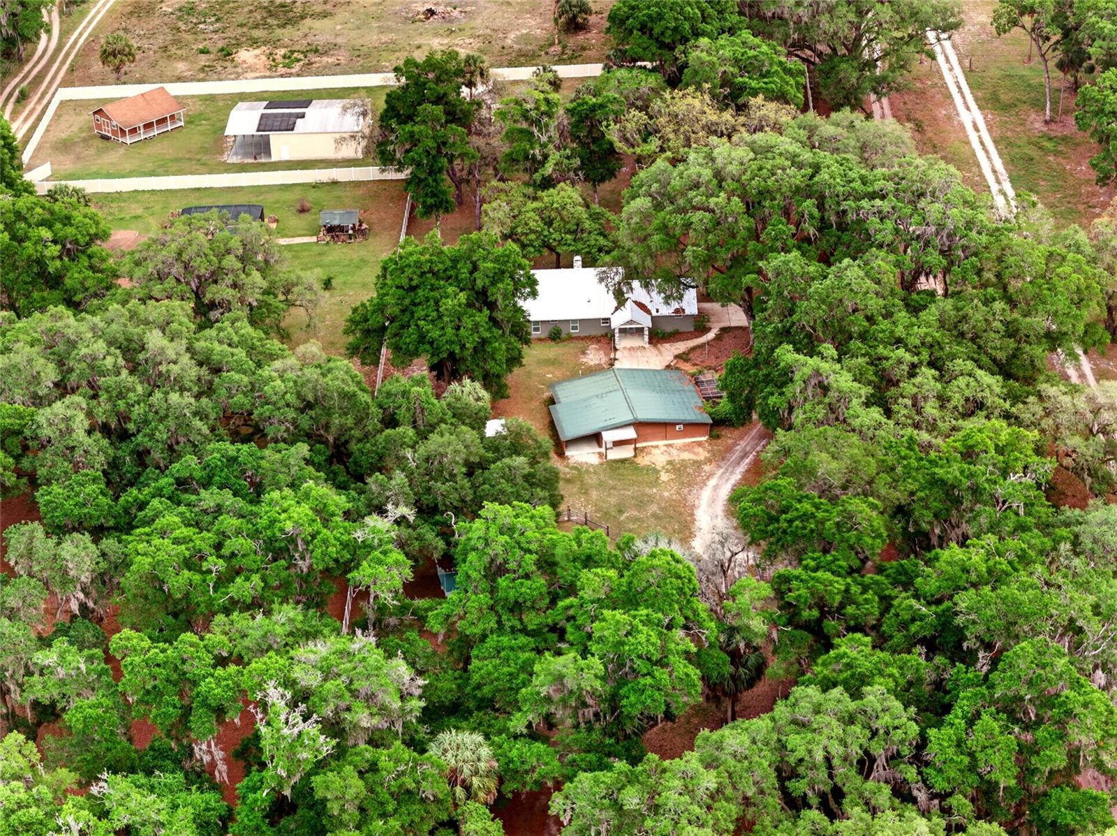 14271 NE 47TH AVE, ANTHONY, FL, 32617