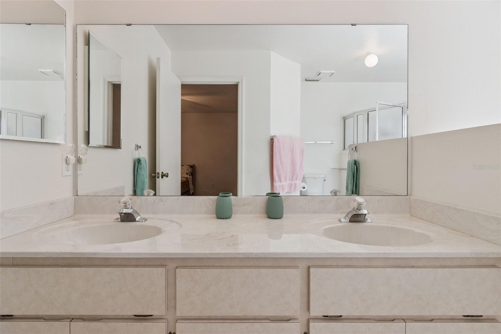 26245 NEWCOMBE CIR, LEESBURG, FL, 34748