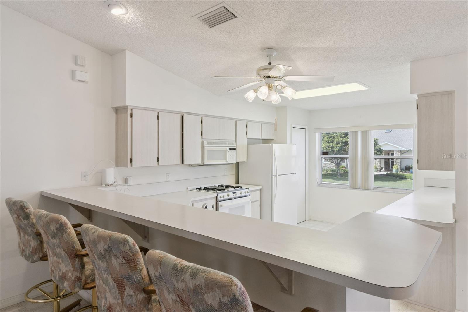 26245 NEWCOMBE CIR, LEESBURG, FL, 34748