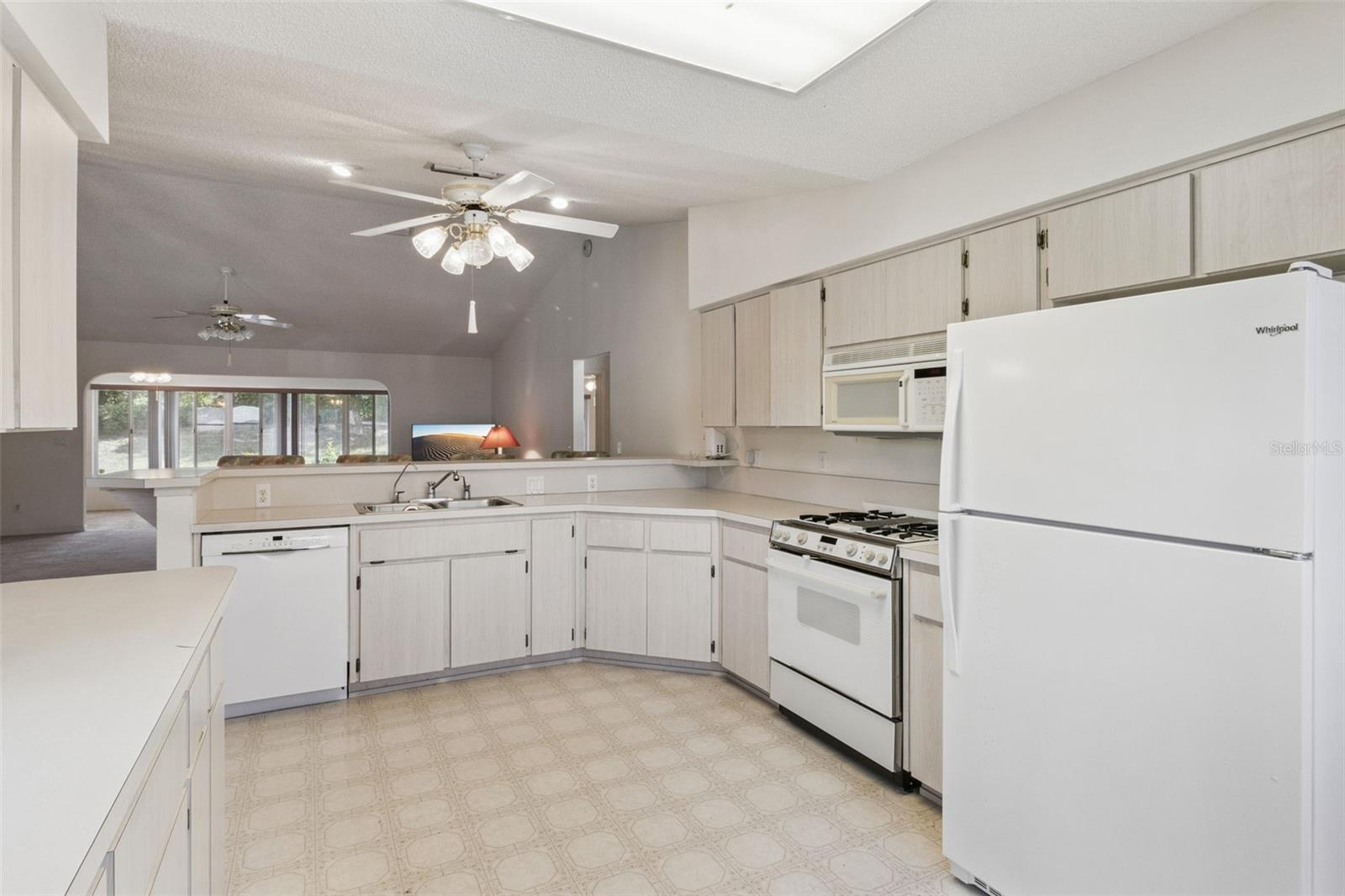 26245 NEWCOMBE CIR, LEESBURG, FL, 34748