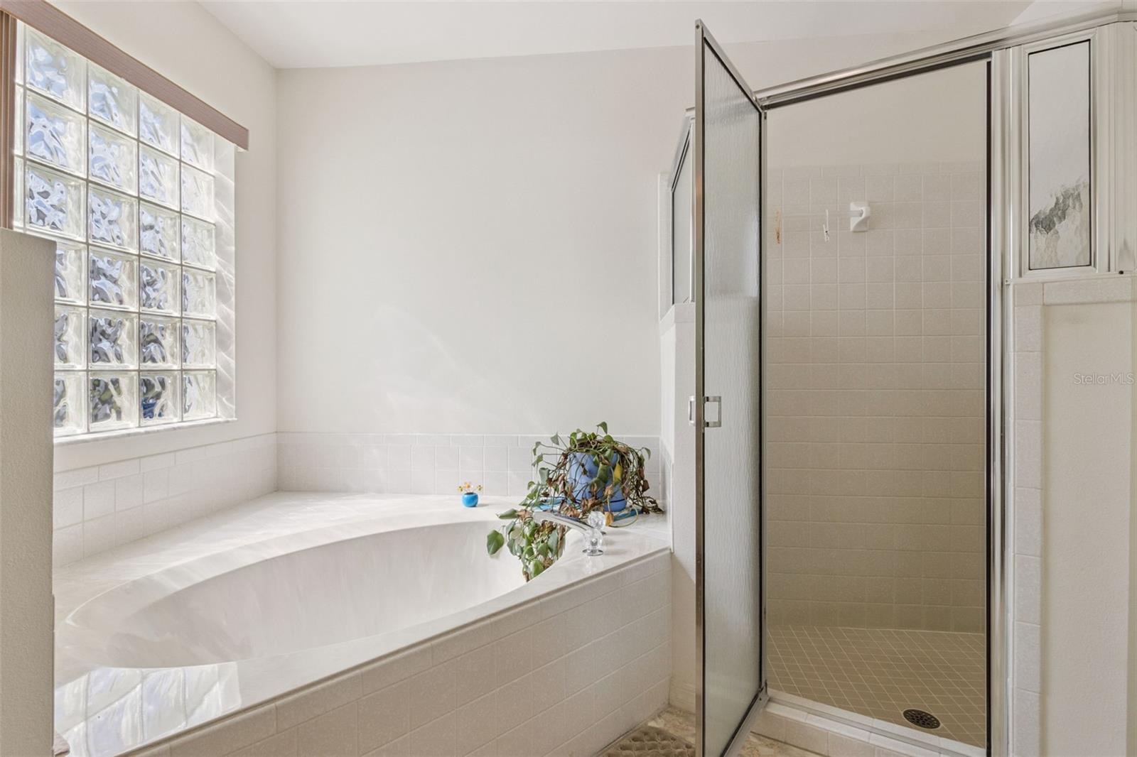 26245 NEWCOMBE CIR, LEESBURG, FL, 34748