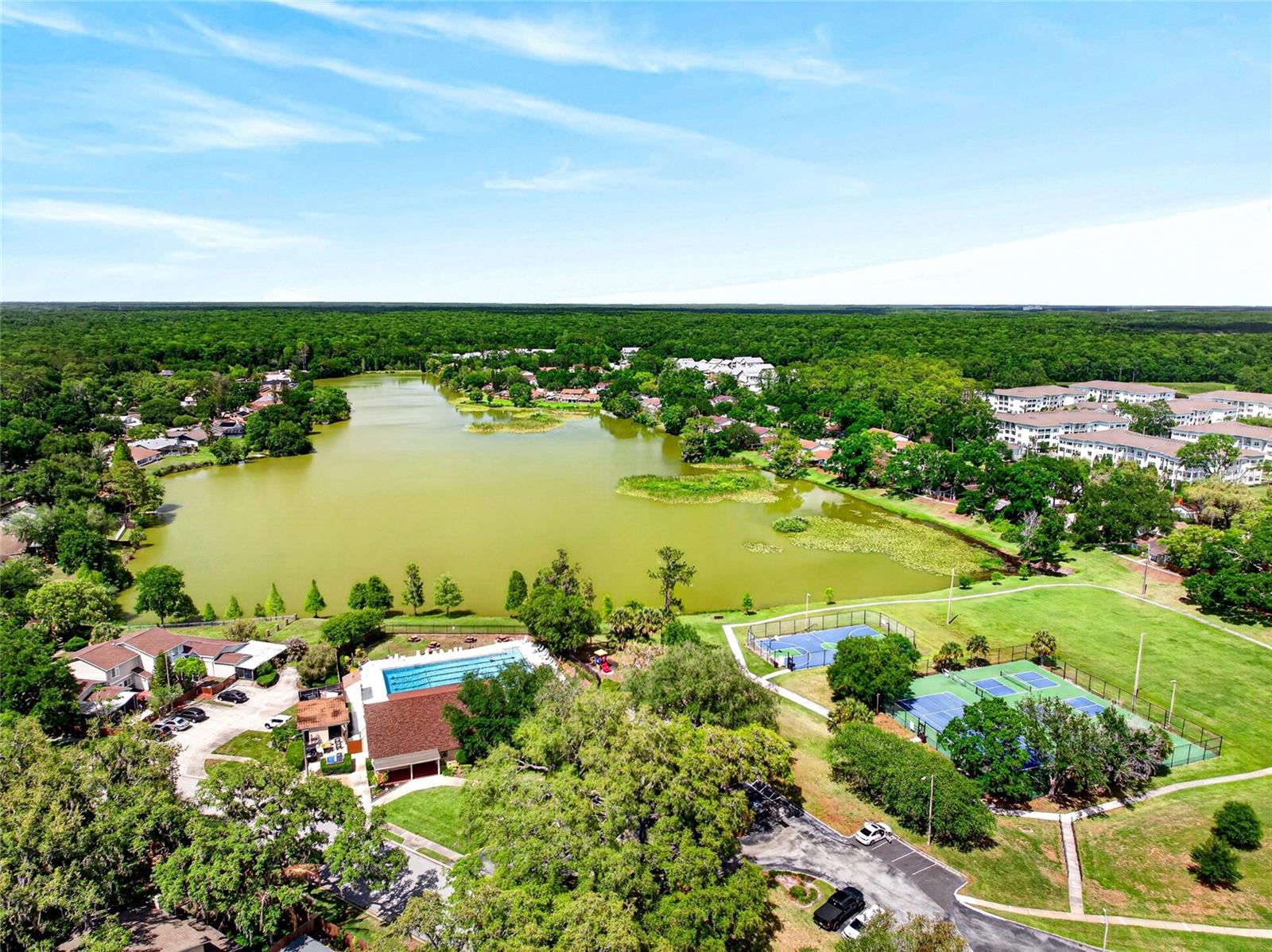 14841 OAK VINE DR, LUTZ, FL, 33559