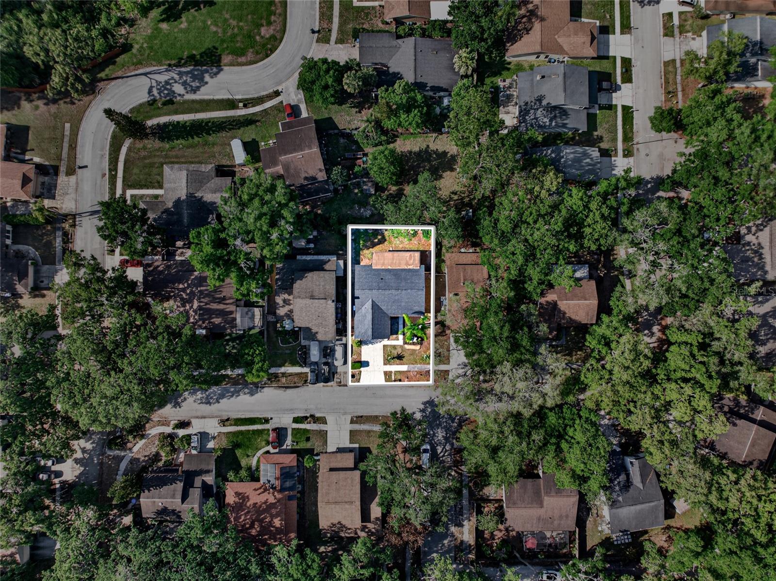 14841 OAK VINE DR, LUTZ, FL, 33559