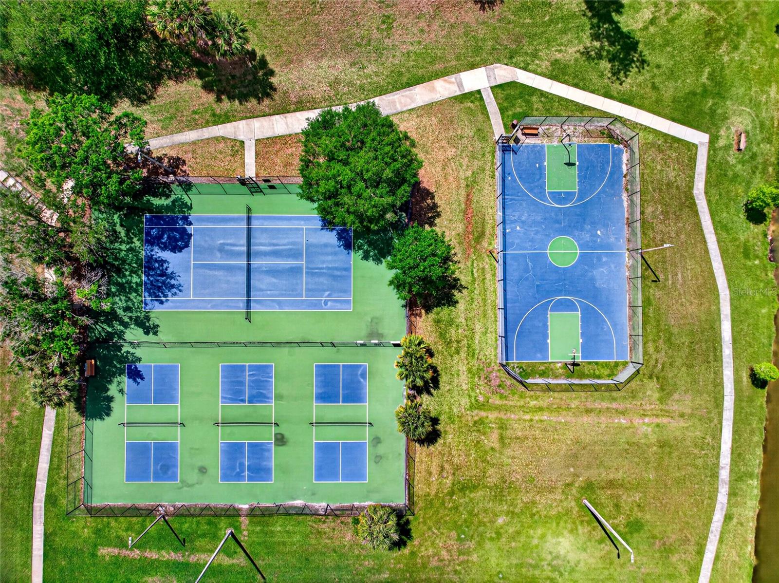 14841 OAK VINE DR, LUTZ, FL, 33559