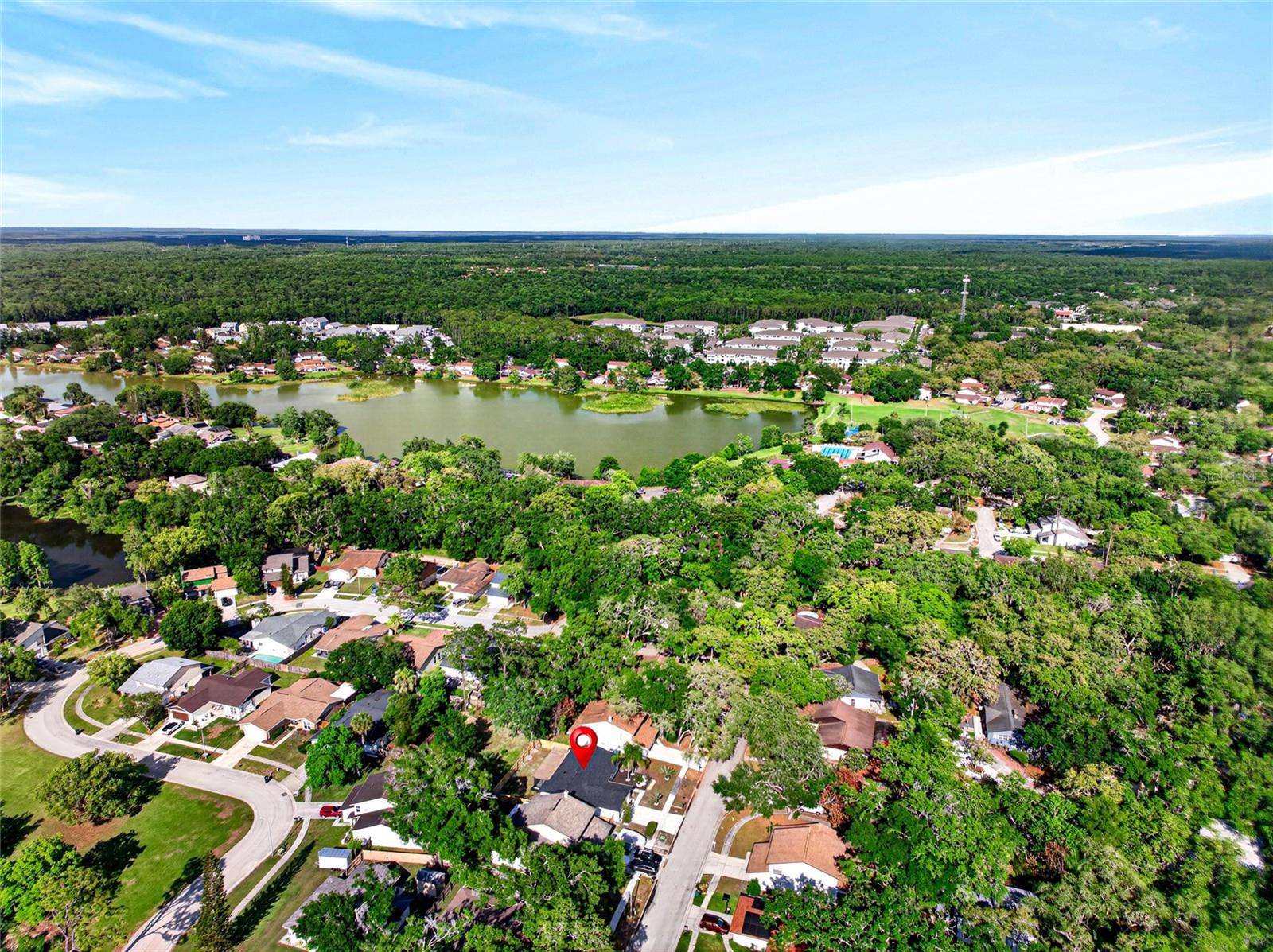 14841 OAK VINE DR, LUTZ, FL, 33559