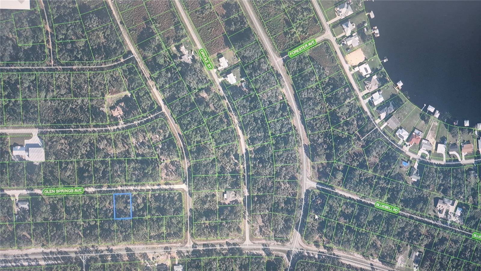 3216 GLEN SPRINGS AVE, LAKE PLACID, FL, 33852