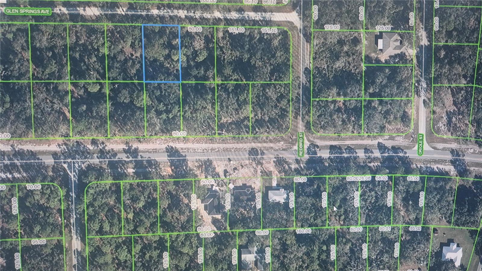 3216 GLEN SPRINGS AVE, LAKE PLACID, FL, 33852