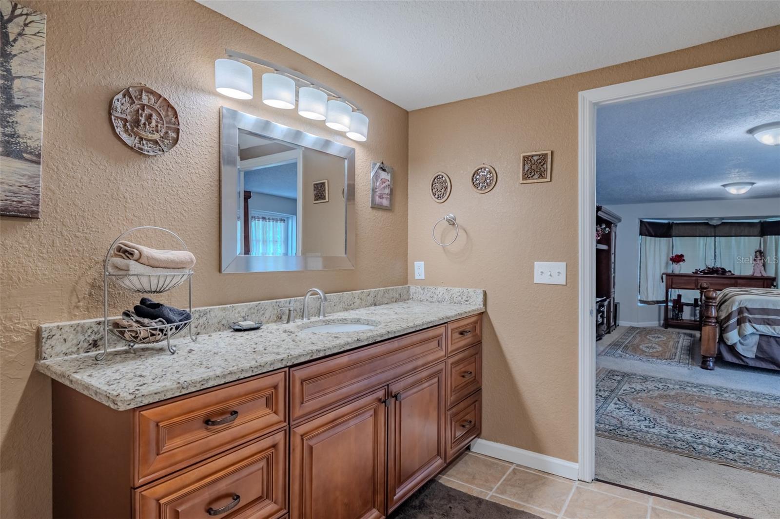 18853 TRACER DR, LUTZ, FL, 33549