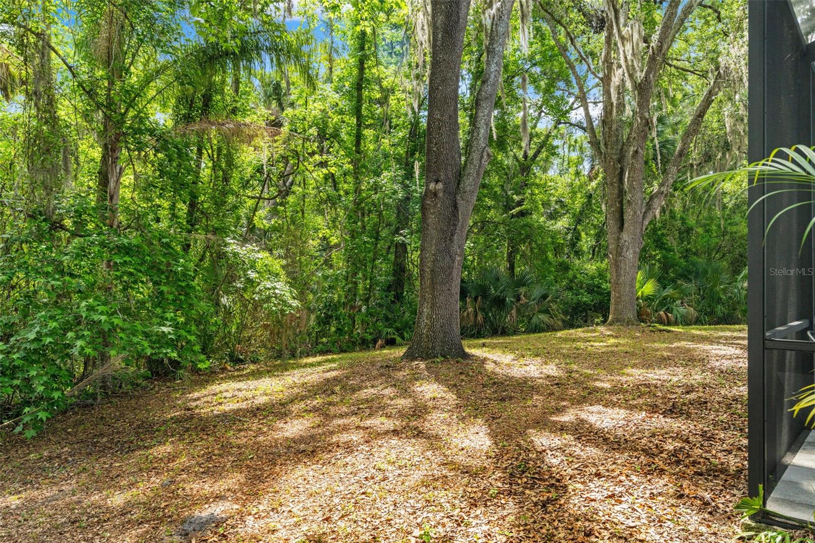 16105 CADBURY CT, TAMPA, FL, 33647