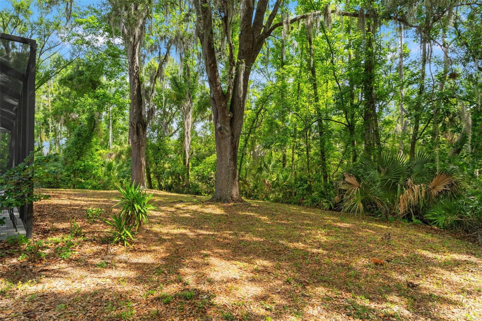 16105 CADBURY CT, TAMPA, FL, 33647