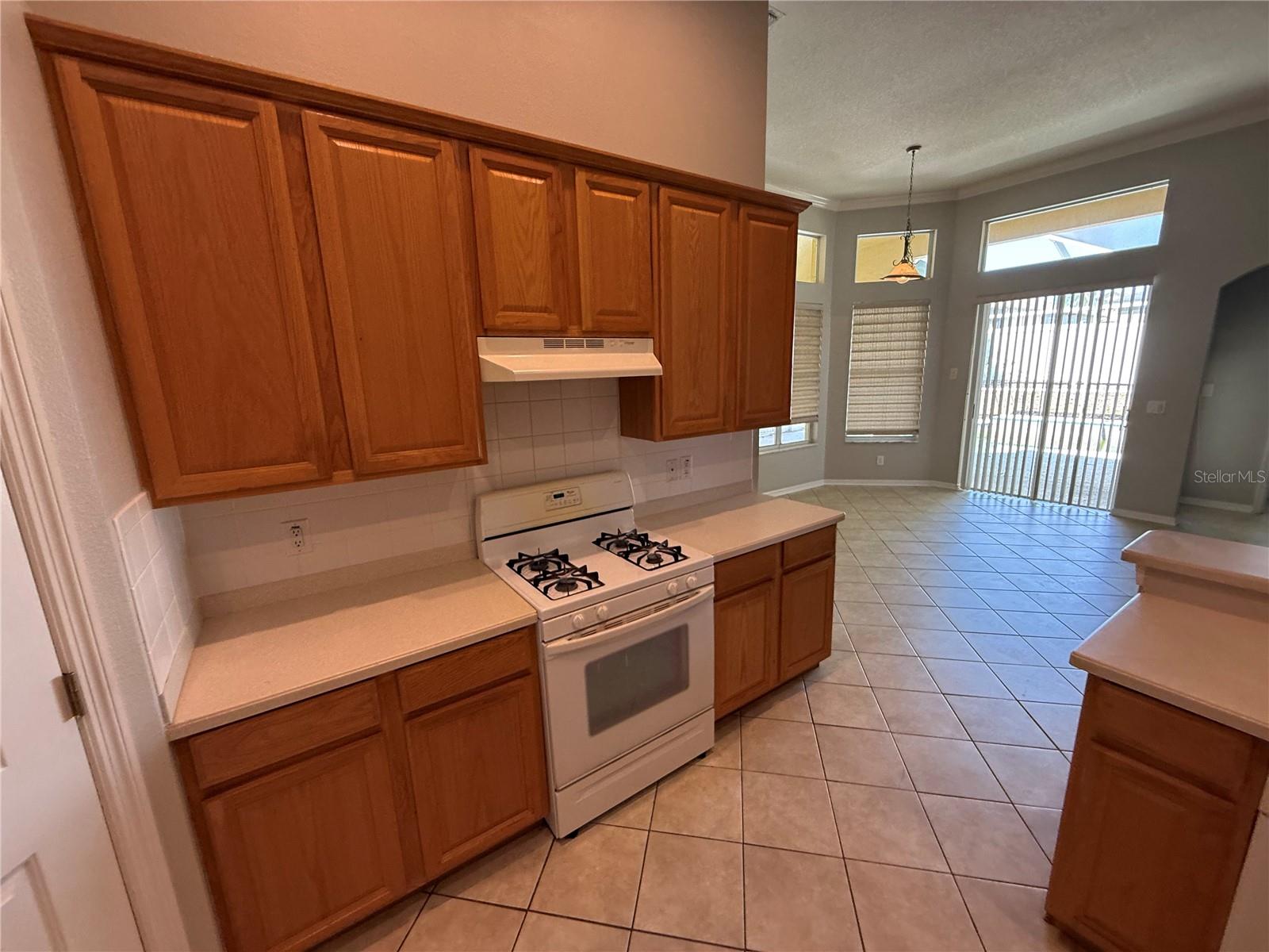 3115 RED LION DR, VALRICO, FL, 33596