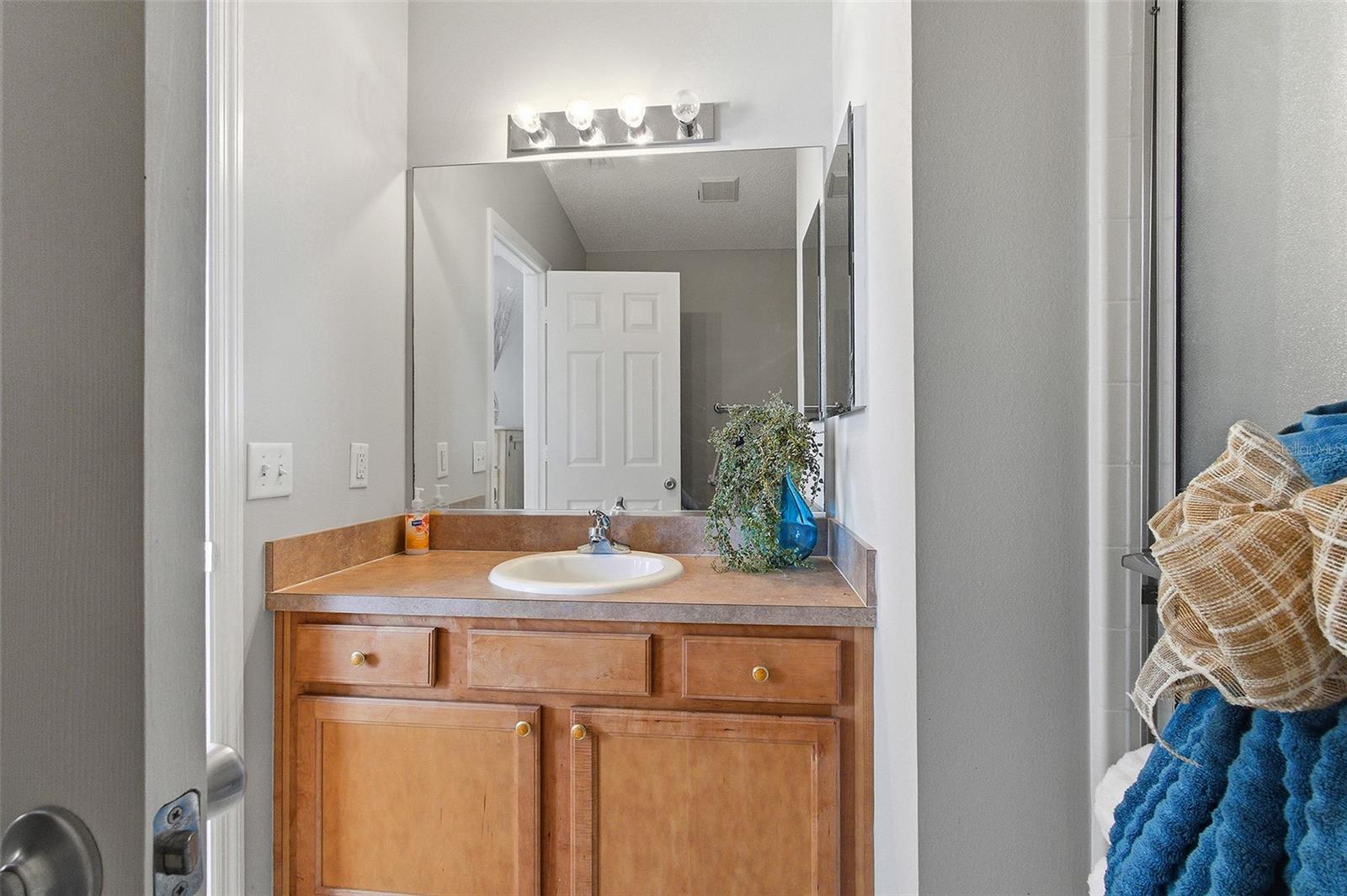 324 EMMALEE PL, THE VILLAGES, FL, 32162