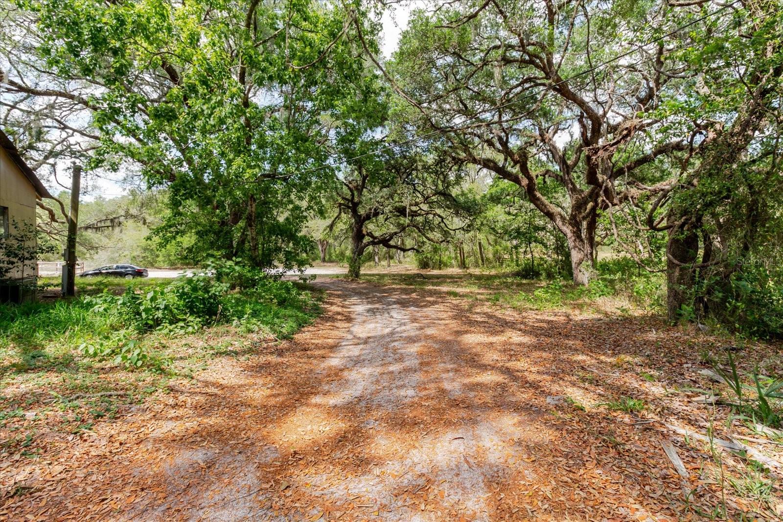 12531 LITTLE PETE CT, HUDSON, FL, 34669