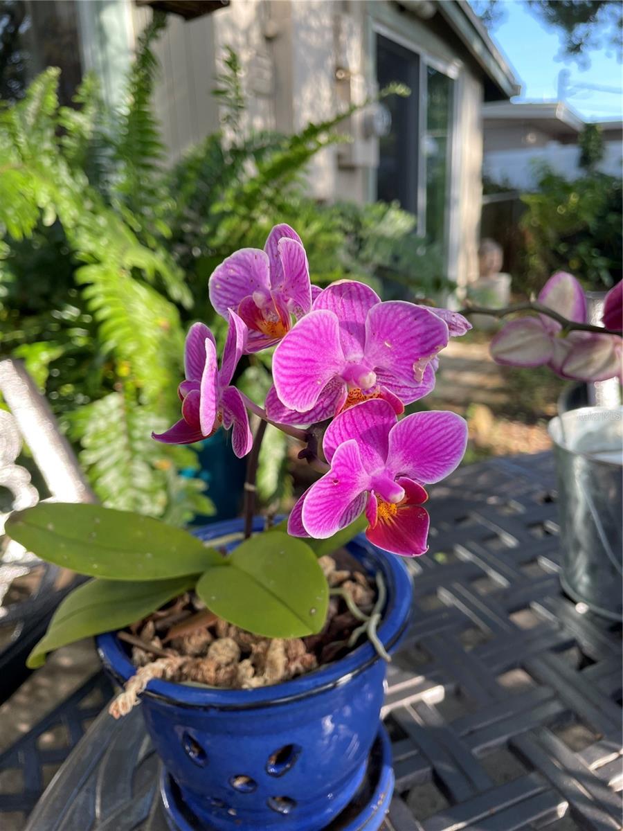 3962 60TH ST N, ST PETERSBURG, FL, 33709