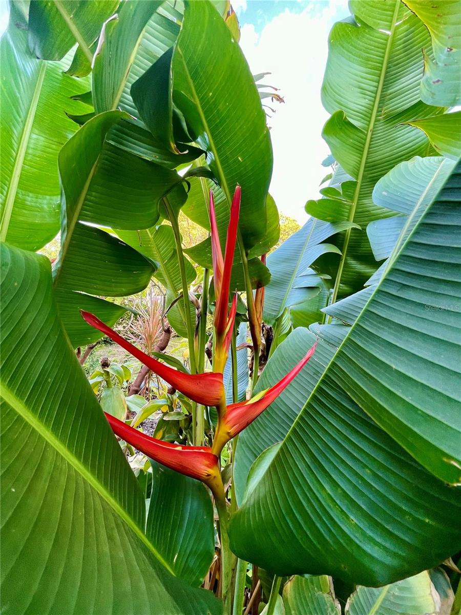 3962 60TH ST N, ST PETERSBURG, FL, 33709