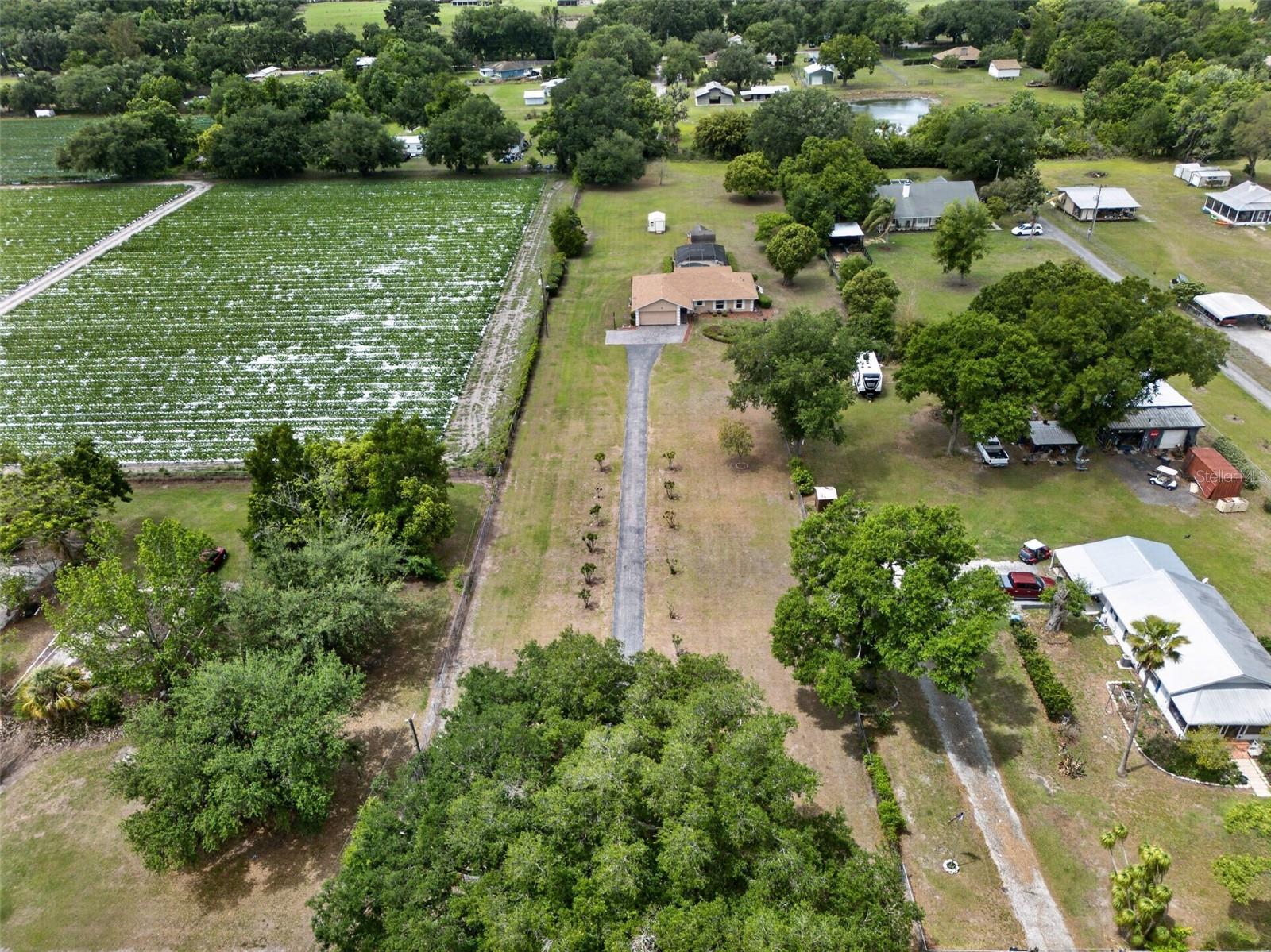 2425 HAWK GRIFFIN RD, PLANT CITY, FL, 33565