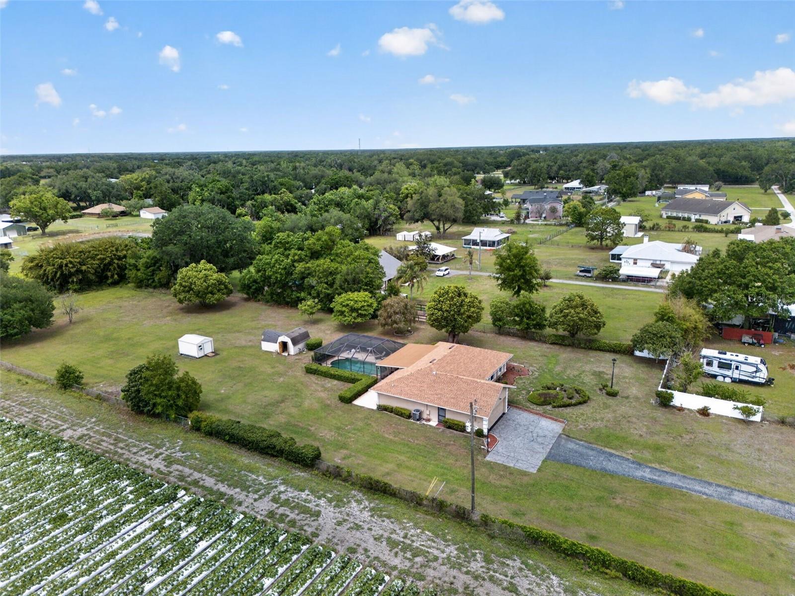 2425 HAWK GRIFFIN RD, PLANT CITY, FL, 33565