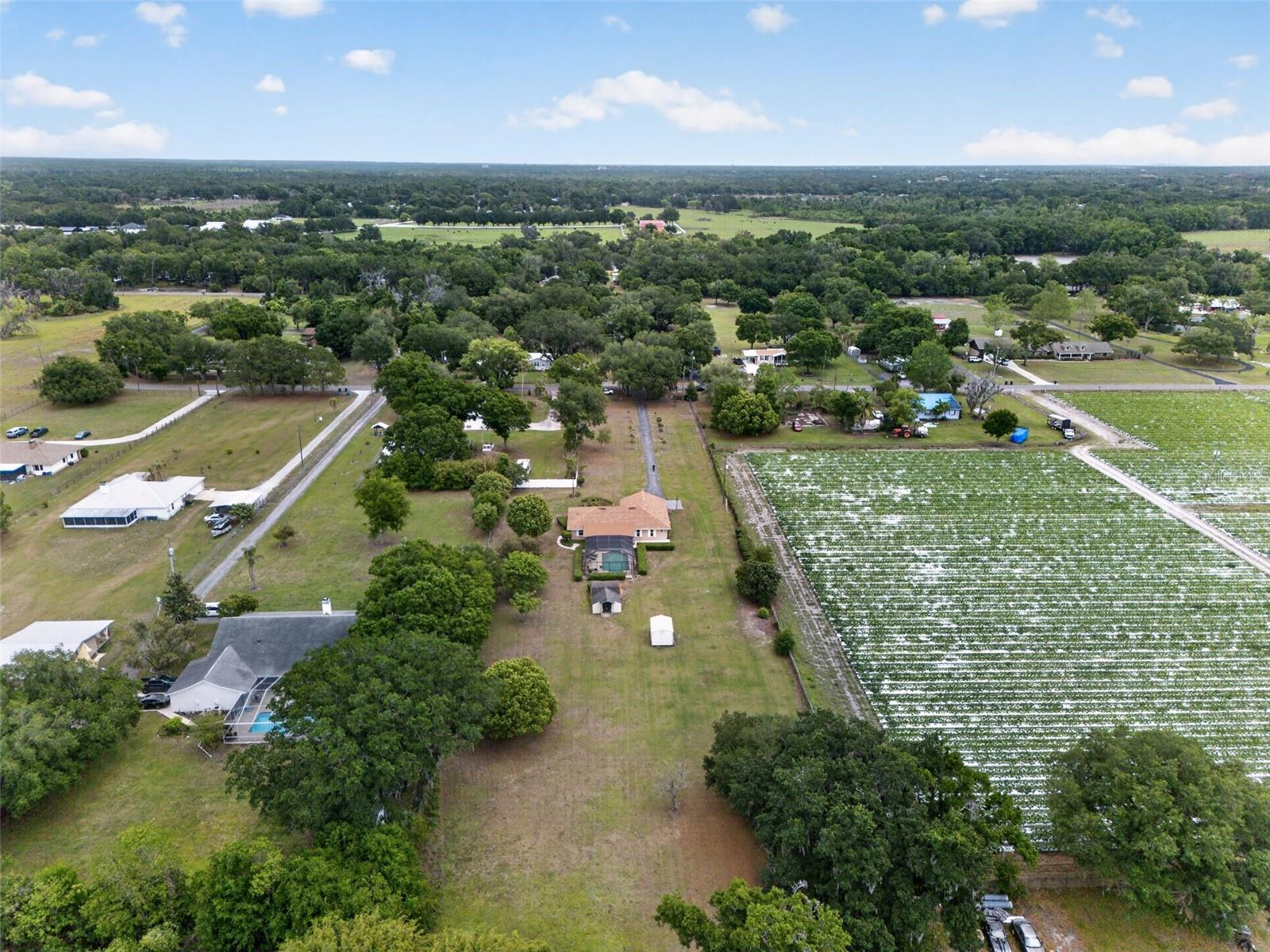 2425 HAWK GRIFFIN RD, PLANT CITY, FL, 33565