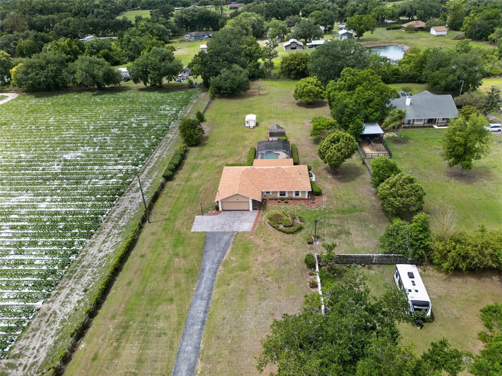 2425 HAWK GRIFFIN RD, PLANT CITY, FL, 33565