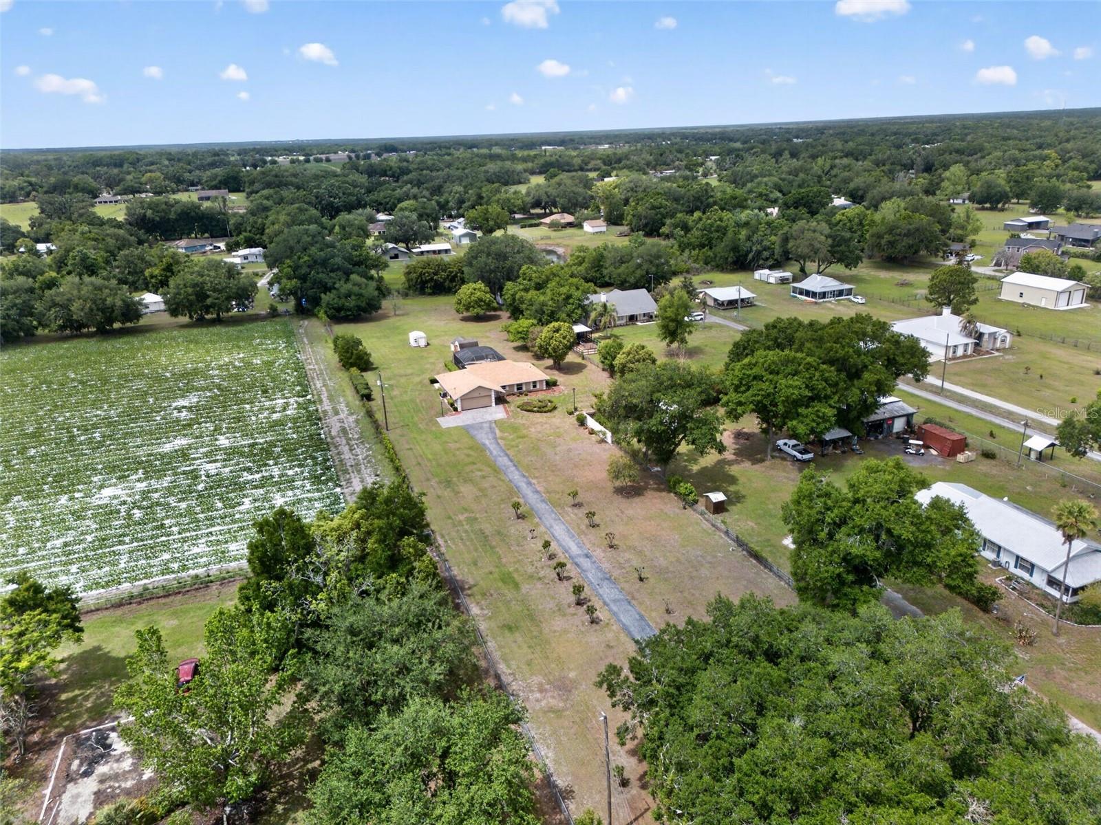 2425 HAWK GRIFFIN RD, PLANT CITY, FL, 33565