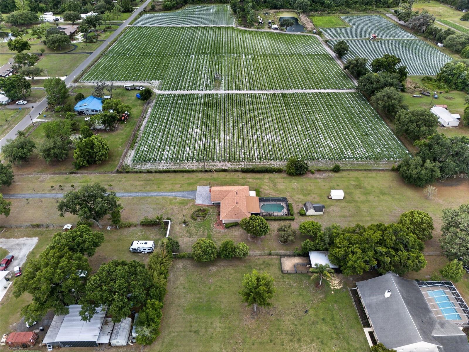 2425 HAWK GRIFFIN RD, PLANT CITY, FL, 33565