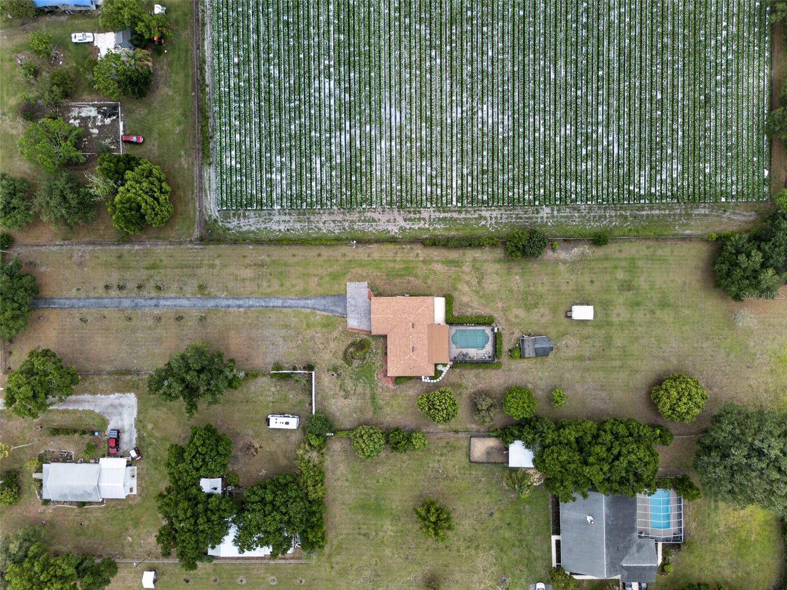 2425 HAWK GRIFFIN RD, PLANT CITY, FL, 33565