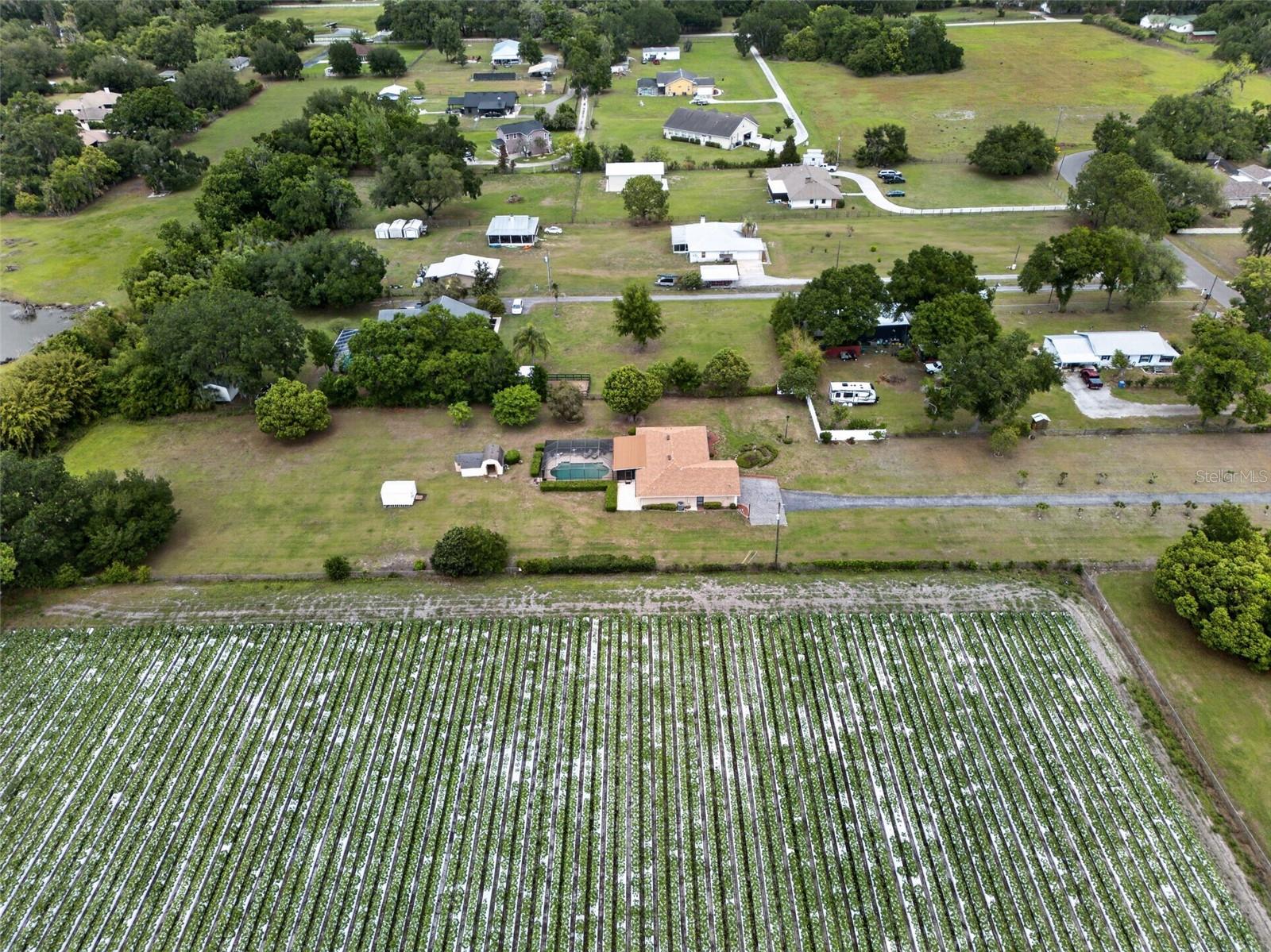 2425 HAWK GRIFFIN RD, PLANT CITY, FL, 33565