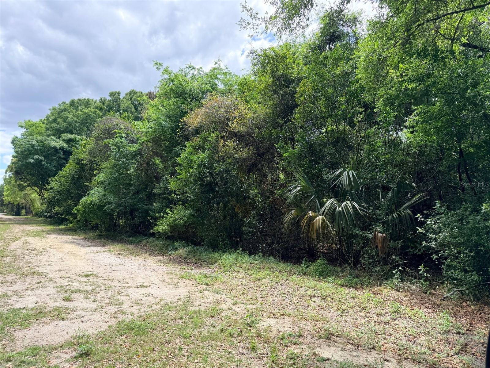 17170 NW 73RD TER, TRENTON, FL, 32693