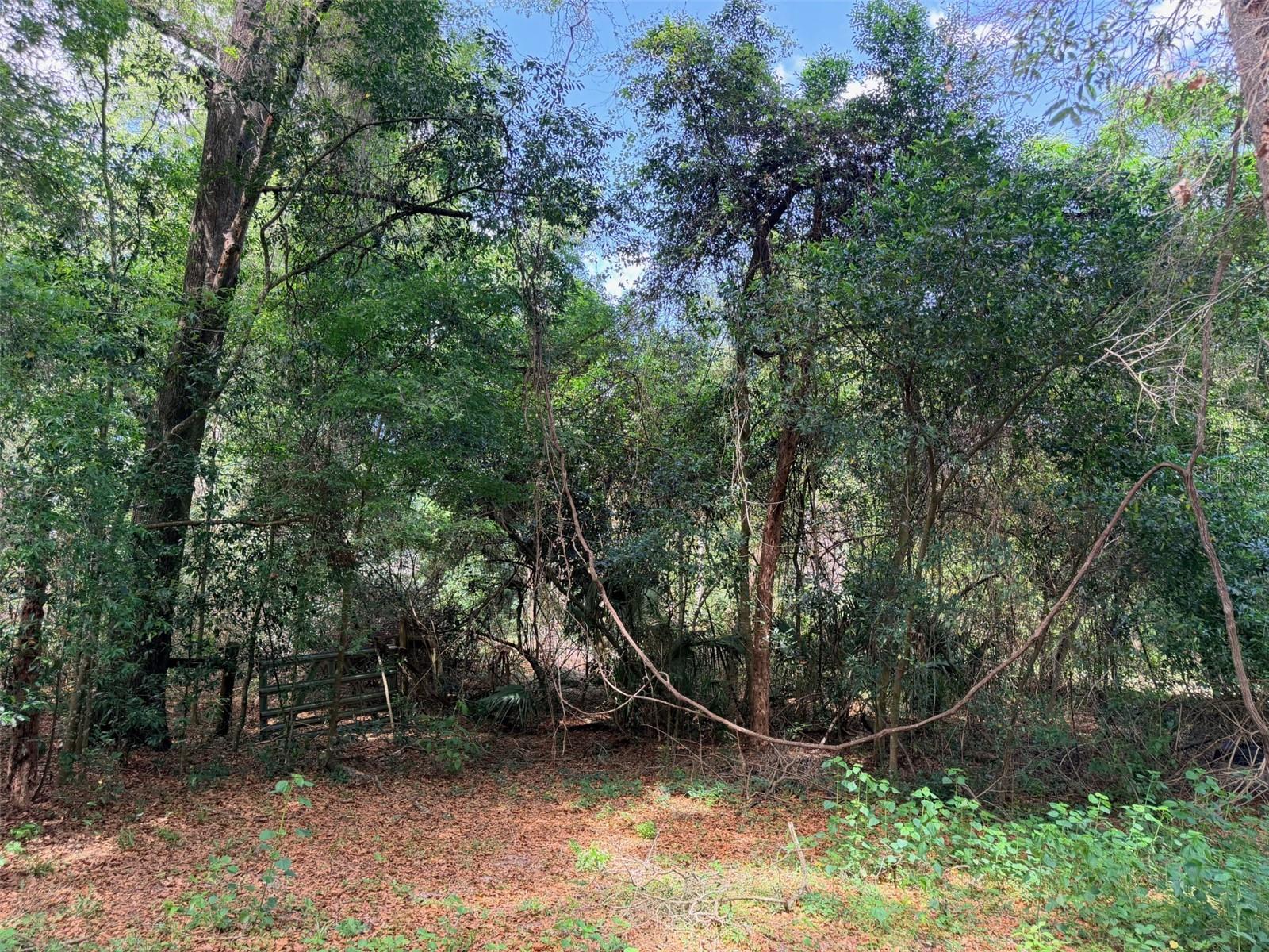 17170 NW 73RD TER, TRENTON, FL, 32693