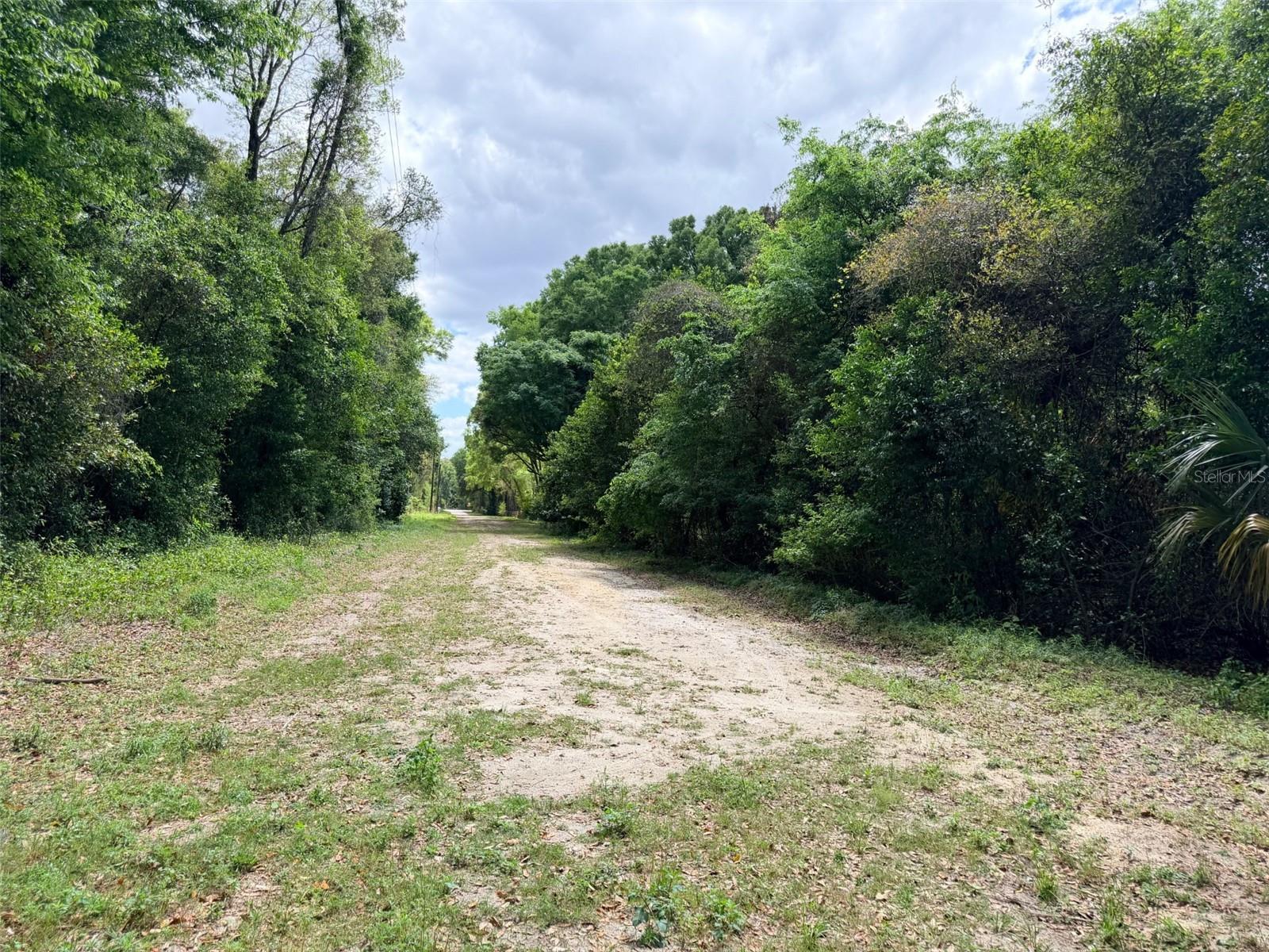 17170 NW 73RD TER, TRENTON, FL, 32693