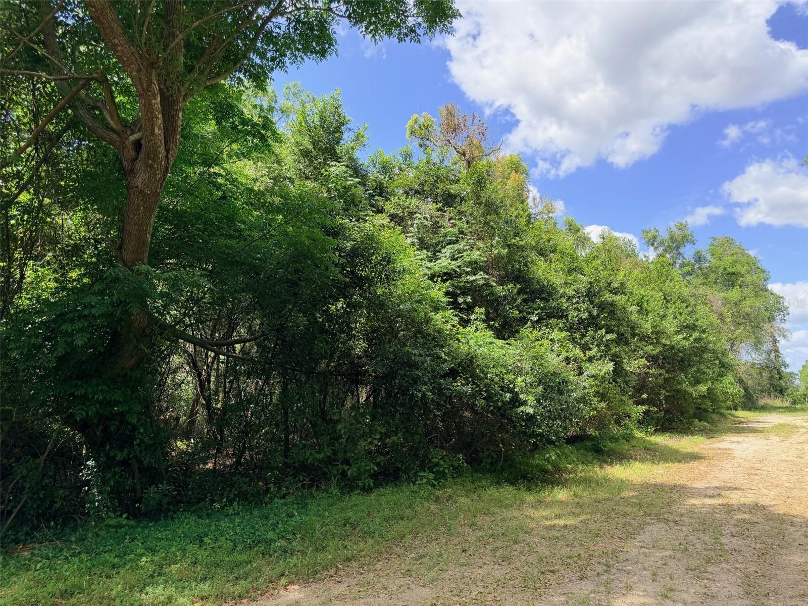 17170 NW 73RD TER, TRENTON, FL, 32693