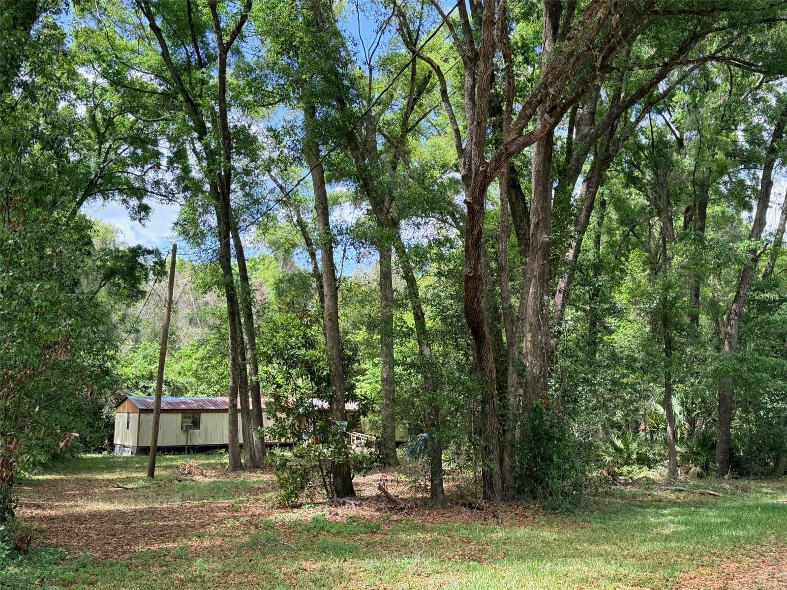 17170 NW 73RD TER, TRENTON, FL, 32693