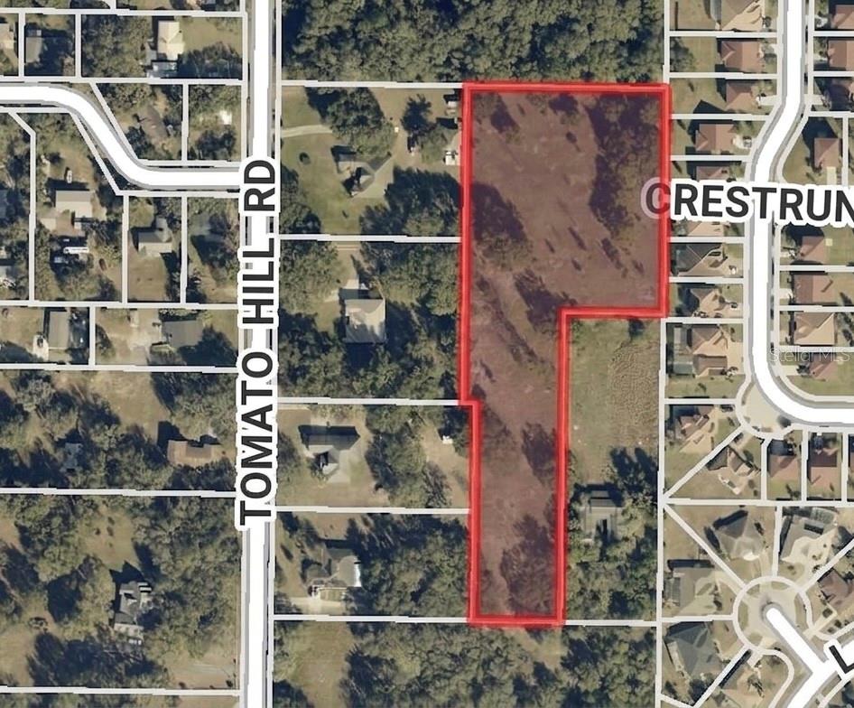 TOMATO HILL RD, LEESBURG, FL, 34748