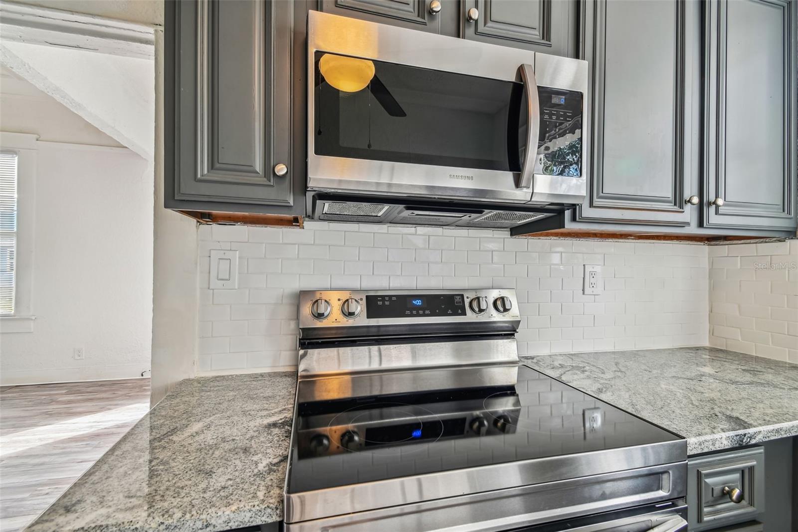 1913 W LEMON ST, TAMPA, FL, 33606