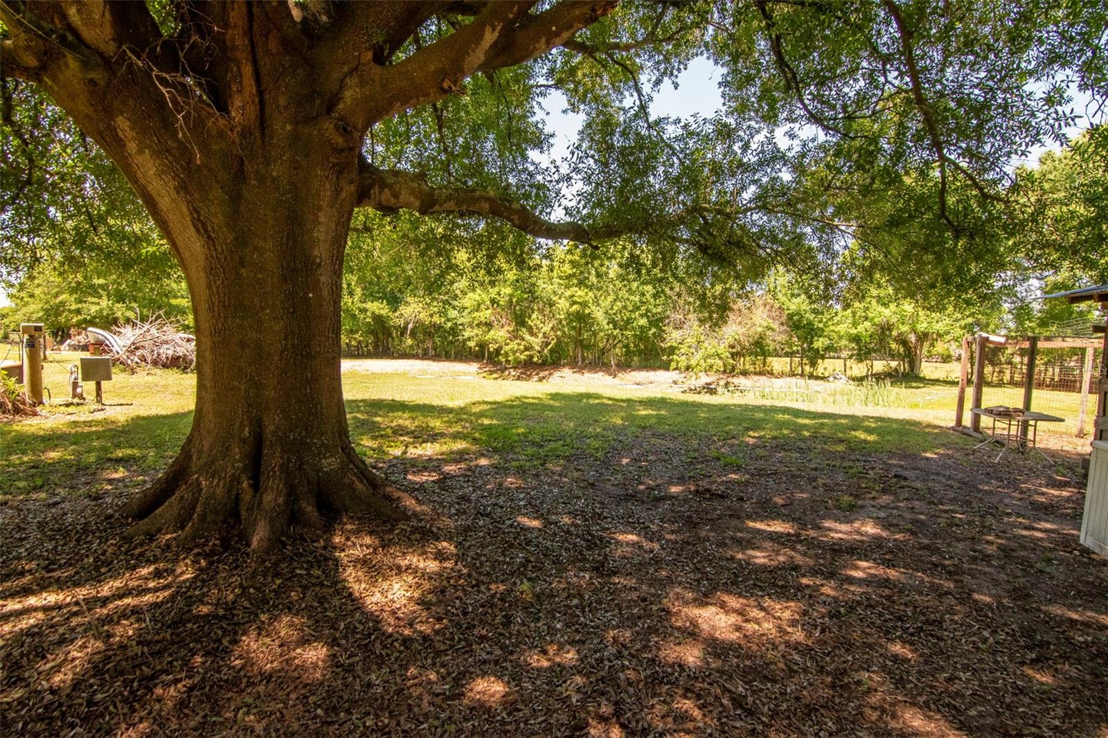 6230 BOB HEAD RD, PLANT CITY, FL, 33565