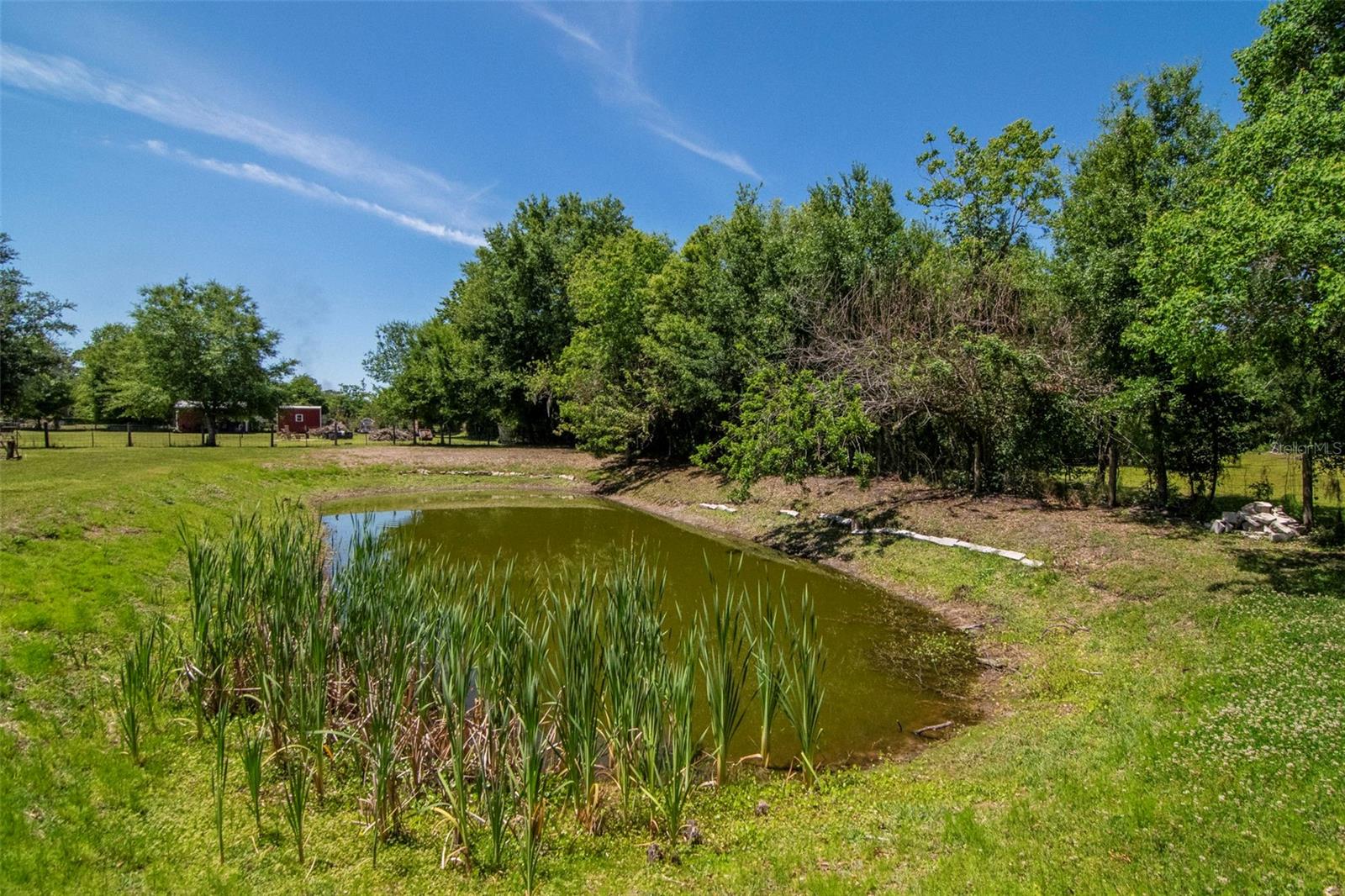 6230 BOB HEAD RD, PLANT CITY, FL, 33565