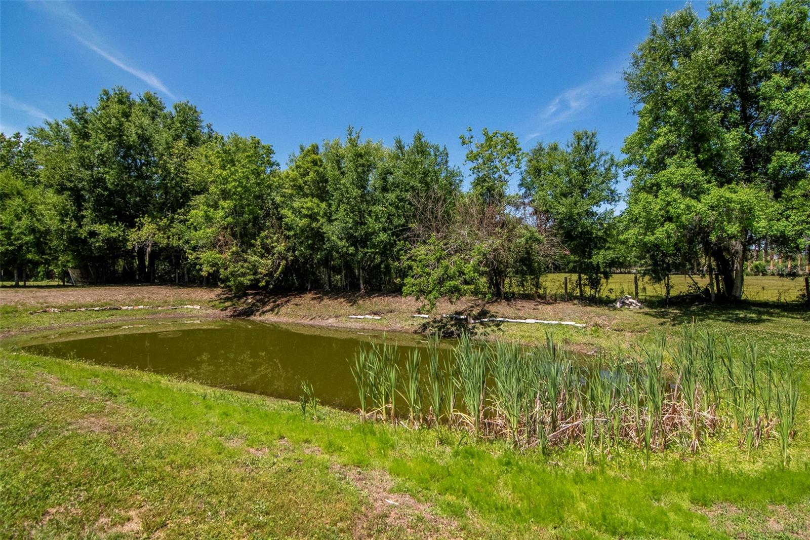 6230 BOB HEAD RD, PLANT CITY, FL, 33565