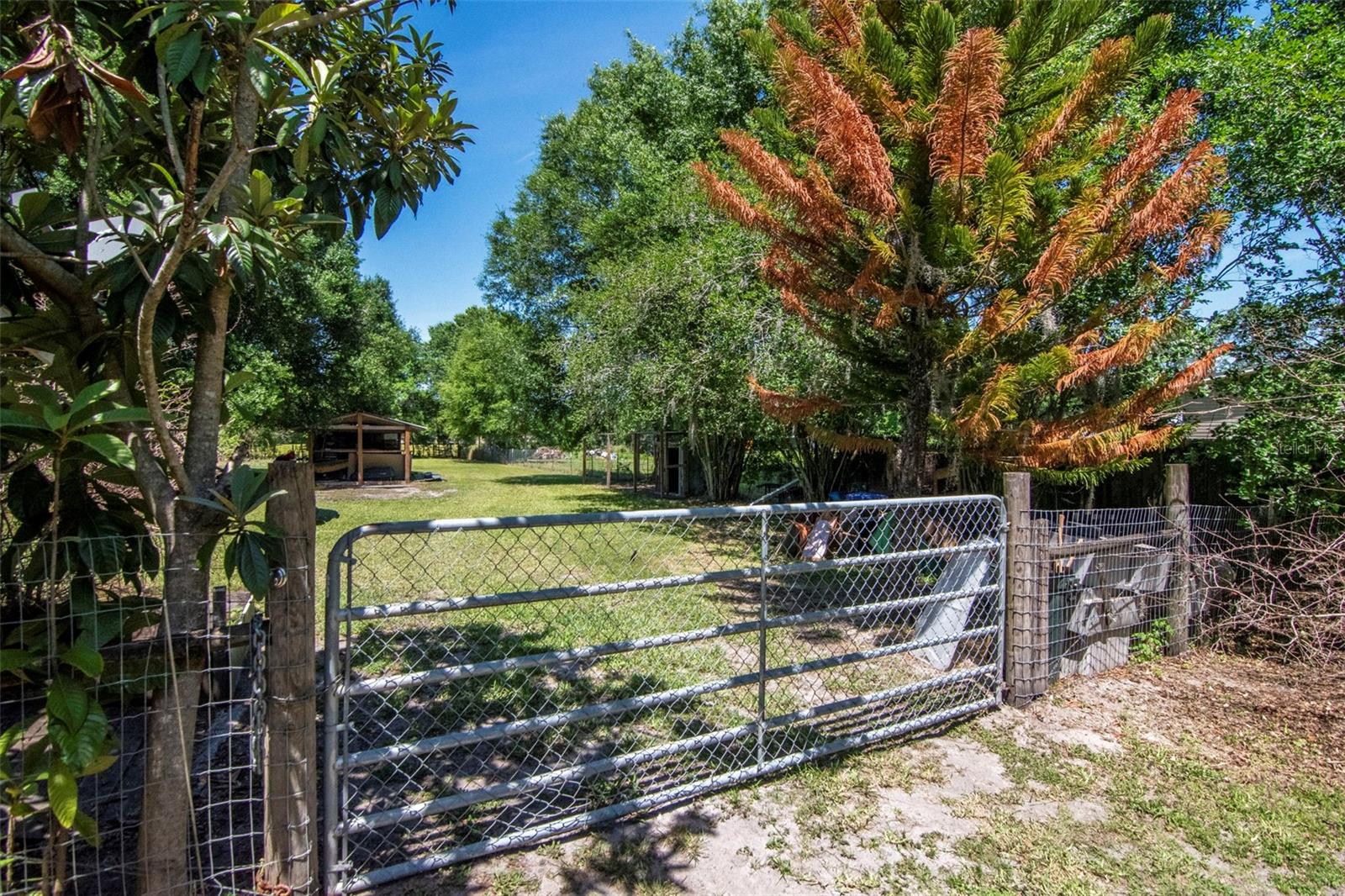 6230 BOB HEAD RD, PLANT CITY, FL, 33565