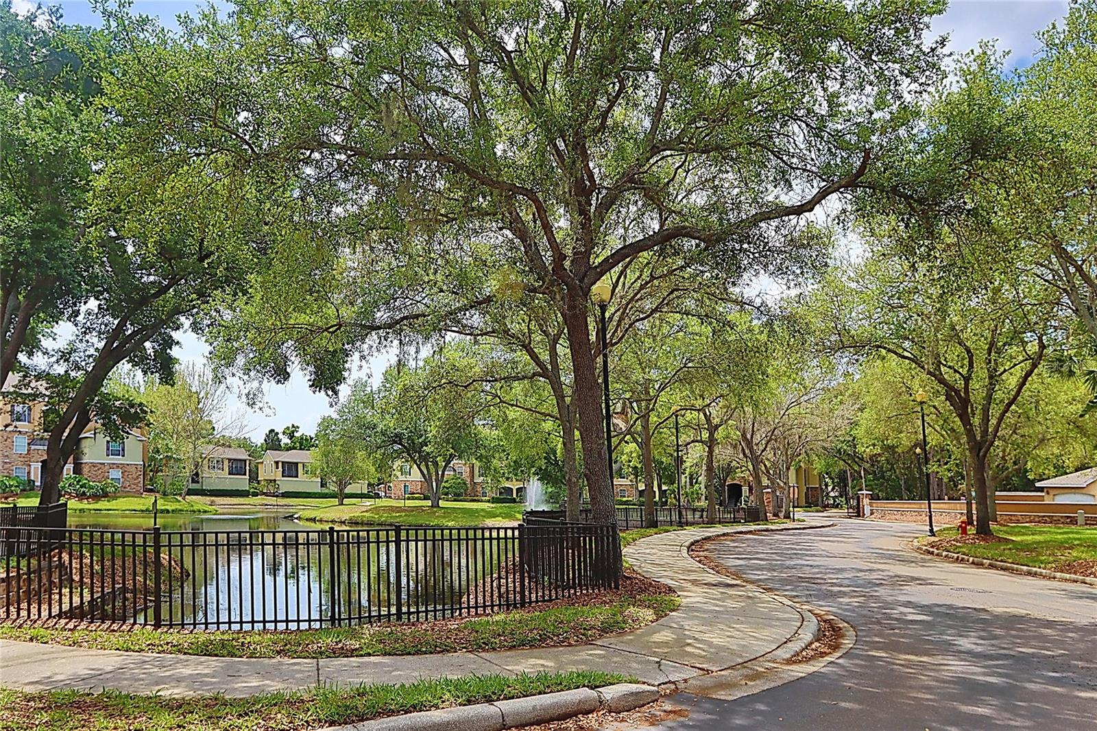 2407 COURTNEY MEADOWS CT #103, TAMPA, FL, 33619